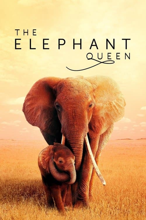 โปสเตอร์ The Elephant Queen