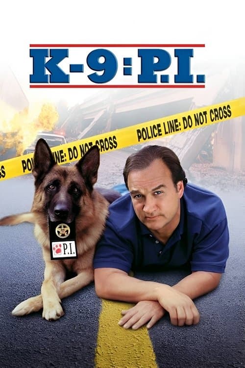 โปสเตอร์ K-9: P.I.