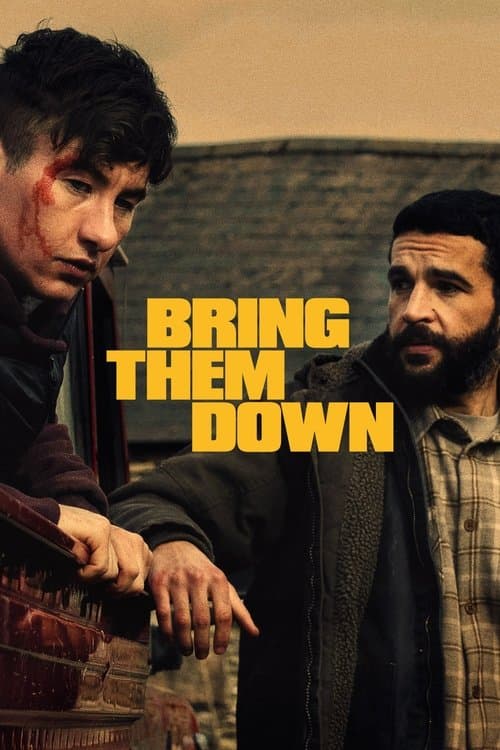 โปสเตอร์ Bring Them Down