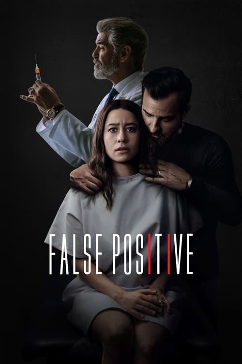 โปสเตอร์ False Positive