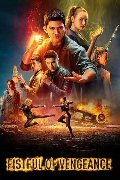 โปสเตอร์ กำปั้นคั่งแค้น