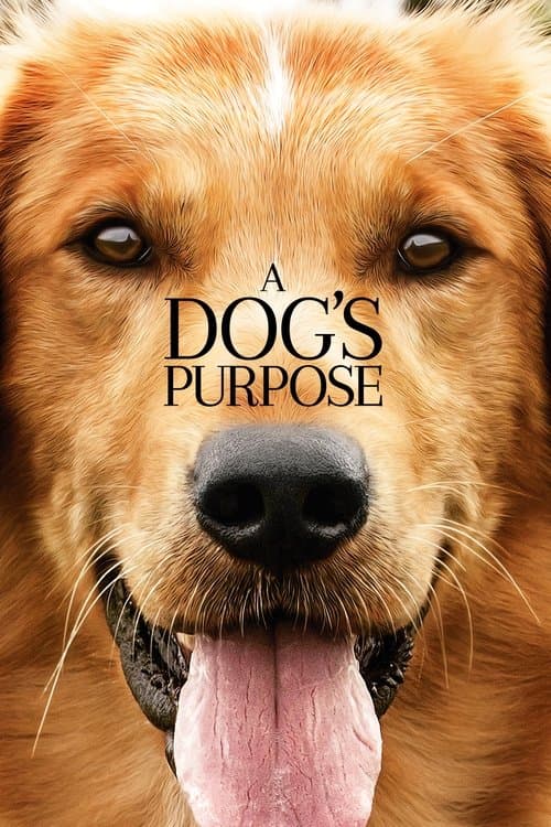 โปสเตอร์ A Dog's Purpose (2017) หมา เป้าหมาย และเด็กชายของผม