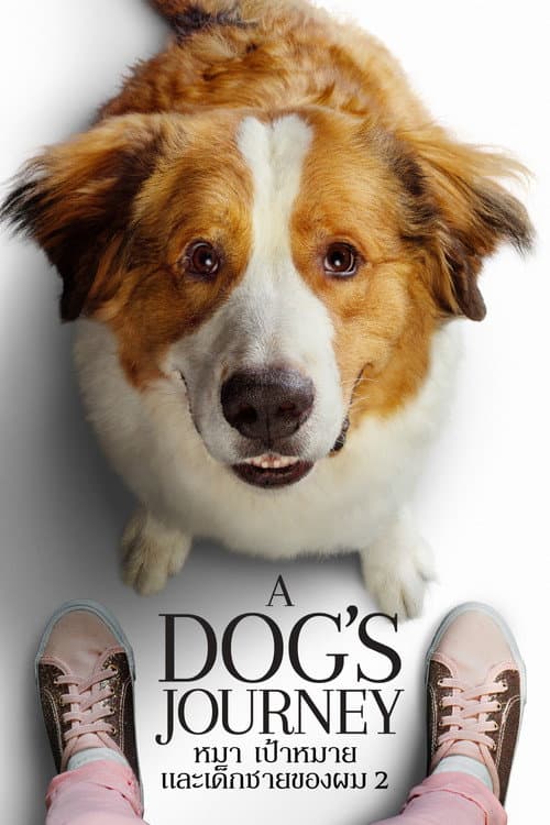 โปสเตอร์ A Dog's Journey (2019) หมา เป้าหมาย และเด็กชายของผม 2
