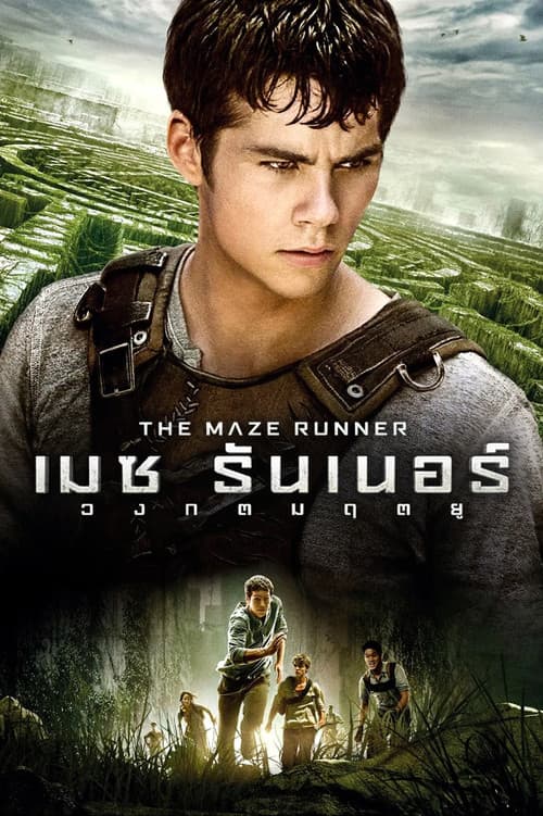 โปสเตอร์ The Maze Runner (2014) เมซ รันเนอร์ : วงกตมฤตยู