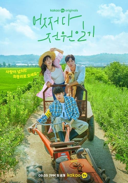 โปสเตอร์ บันทึกรักในเมืองเล็ก