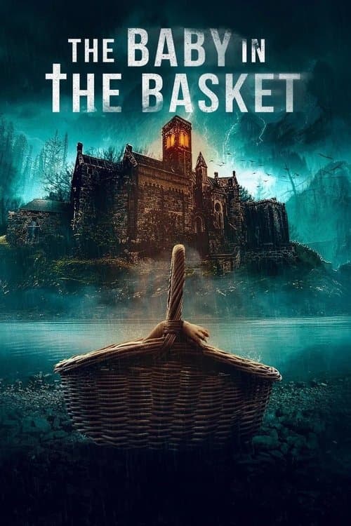 โปสเตอร์ The Baby in the Basket