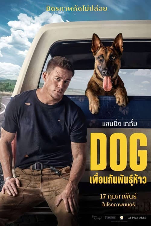 โปสเตอร์ Dog (2022) ด็อก เพื่อนกันพันธุ์ห้าว