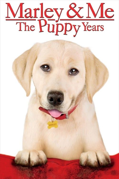 โปสเตอร์ Marley & Me: The Puppy Years