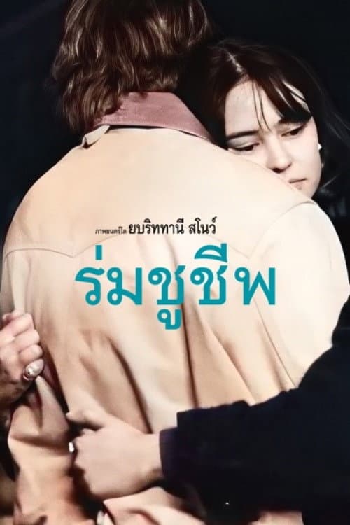 โปสเตอร์ ร่มชูชีพ