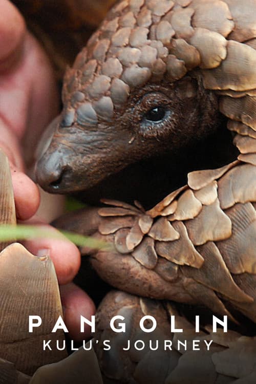 โปสเตอร์ Pangolin: Kulu's Journey (2025) Pangolin: การเดินทางของคูลู