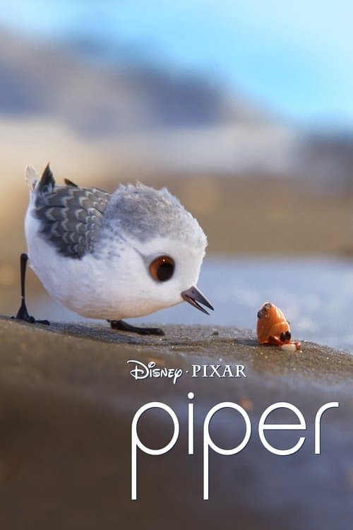 โปสเตอร์ Piper (2016)