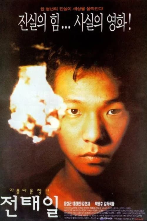 โปสเตอร์ A Single Spark (1995)