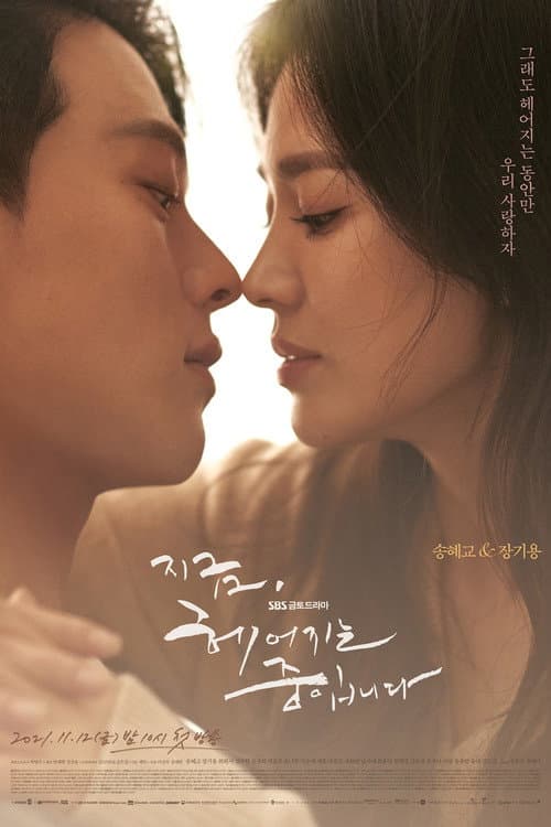 โปสเตอร์ เลิกรา แต่ไม่เลิกรัก