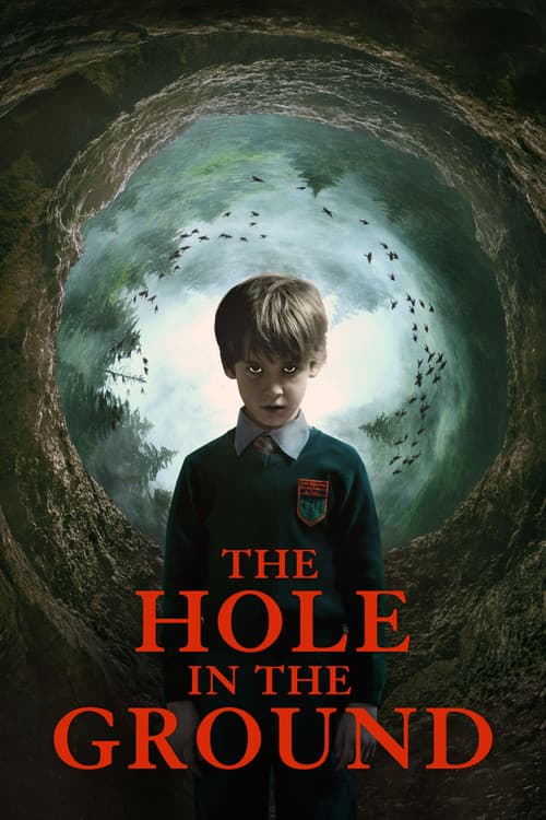 โปสเตอร์ The Hole in the Ground