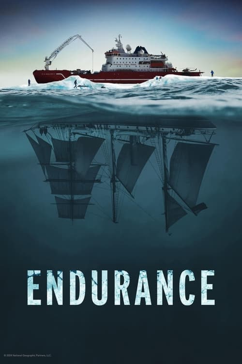 โปสเตอร์ Endurance (2024)