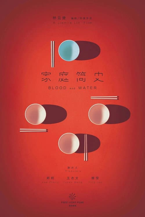 โปสเตอร์ 家庭简史