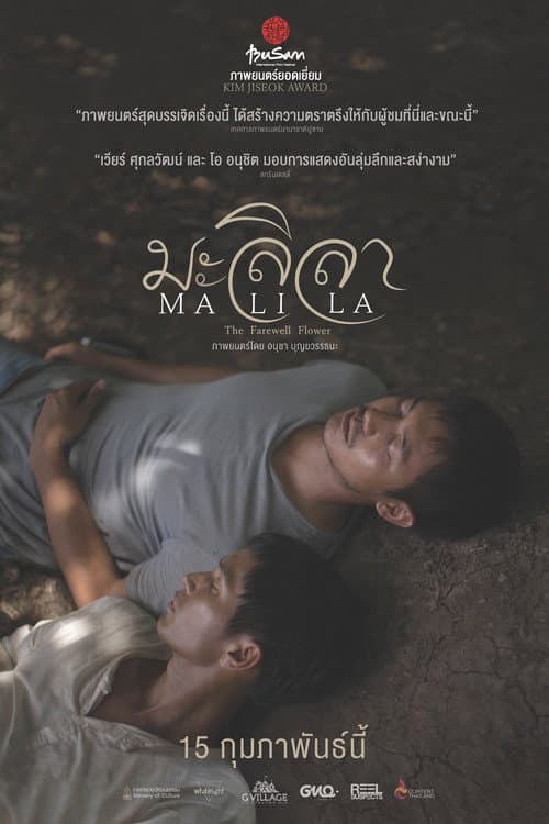 โปสเตอร์ มะลิลา