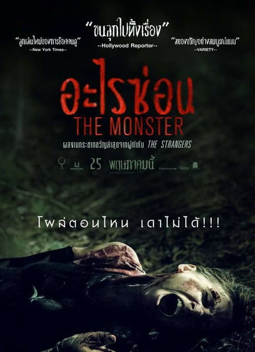 โปสเตอร์ อะไรซ่อน