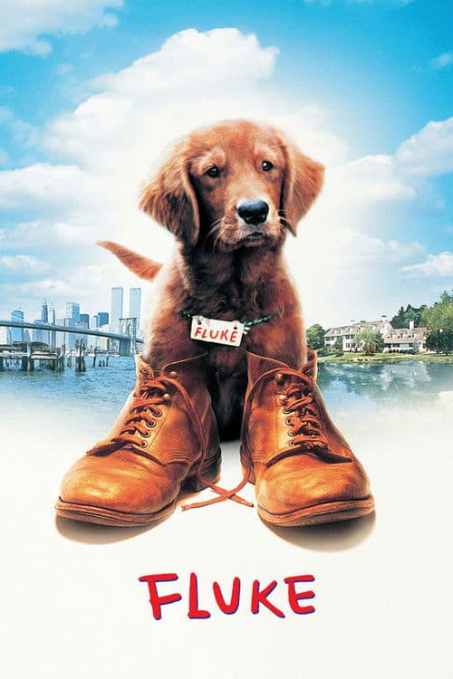 โปสเตอร์ Fluke (1995) เกิดใหม่กลายเป็นหมา