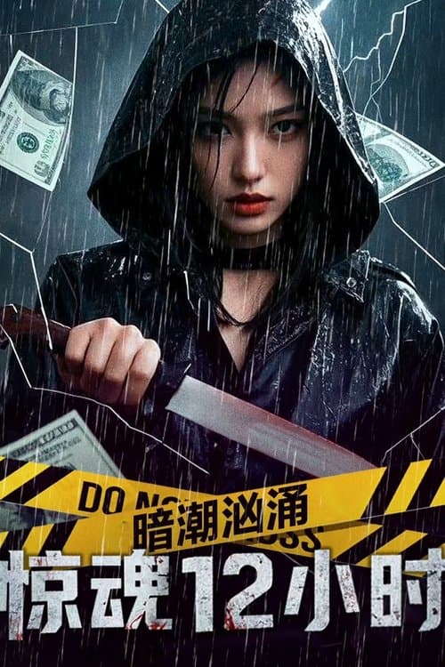 โปสเตอร์ 12 Hours Of Terror (2025)