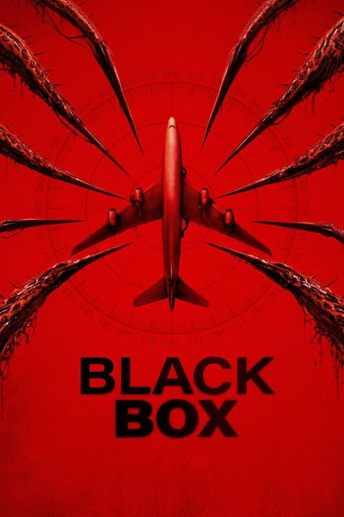 โปสเตอร์ Black Box (Flight 298) (2026)