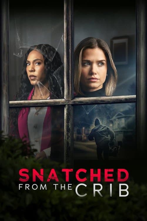 โปสเตอร์ Snatched From The Crib (2025)
