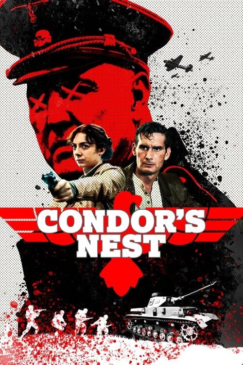 โปสเตอร์ Condor's Nest