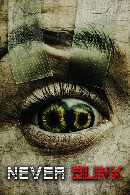 โปสเตอร์ Never Blink