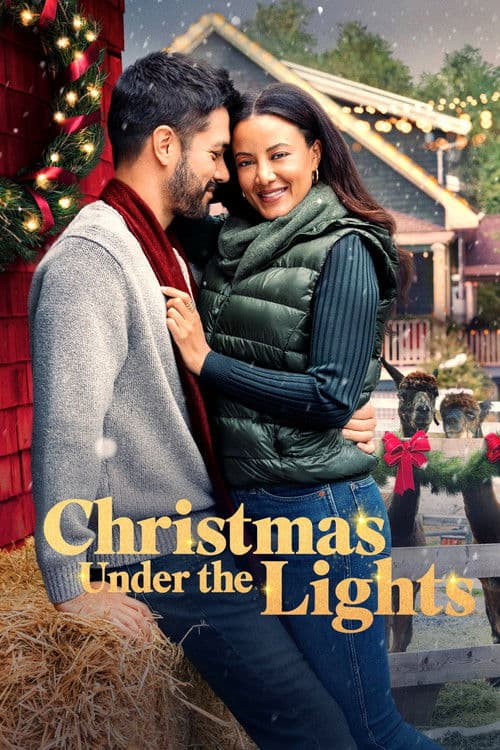 โปสเตอร์ Christmas Under the Lights