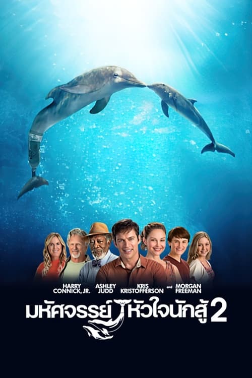 โปสเตอร์ Dolphin Tale 2 (2014) มหัศจรรย์โลมาหัวใจนักสู้ 2