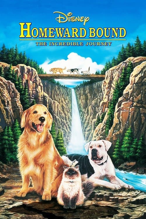 โปสเตอร์ Homeward Bound: The Incredible Journey (1993) 2 หมา 1 แมว ใครจะพรากเราไม่ได้