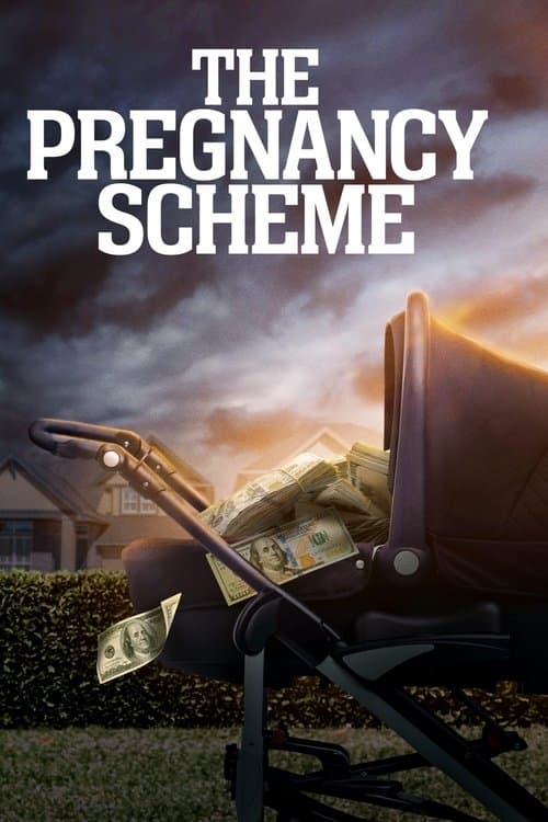 โปสเตอร์ The Pregnancy Scheme (2023)