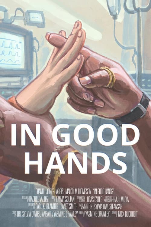 โปสเตอร์ In Good Hands (2025)
