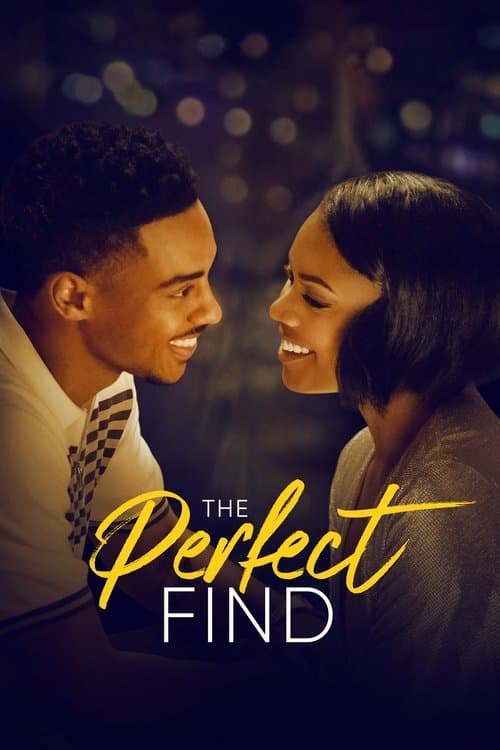โปสเตอร์ The Perfect Find (2023)