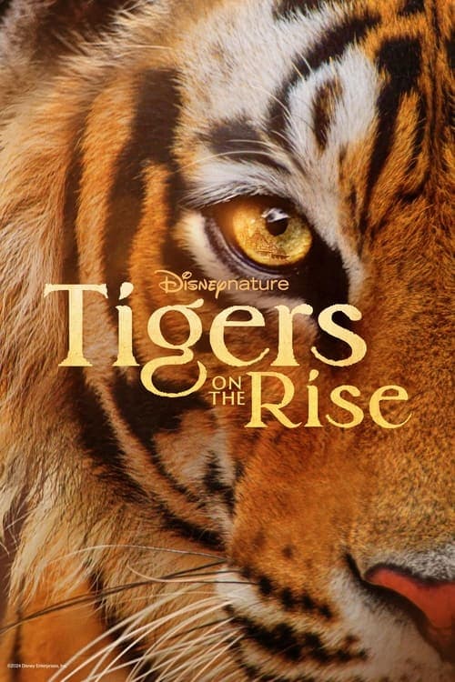 โปสเตอร์ Tigers on the Rise (2024)