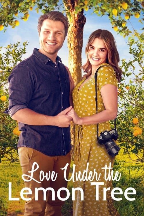 โปสเตอร์ Love Under the Lemon Tree