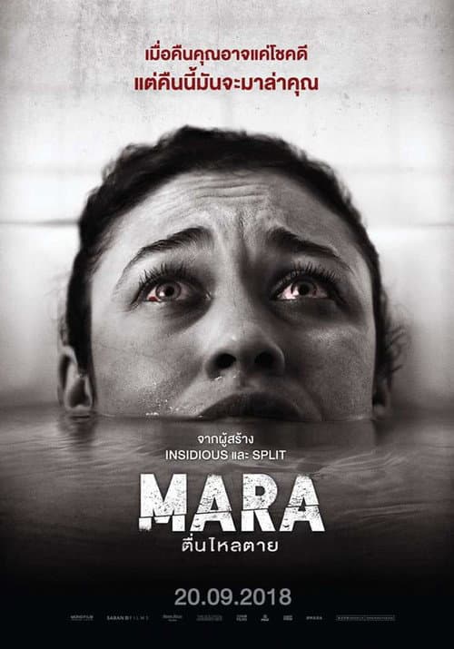 โปสเตอร์ มารา ตื่นไหลตาย
