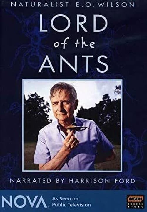 โปสเตอร์ Lord of the Ants (2008)