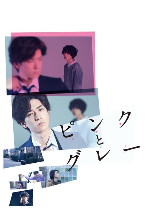 โปสเตอร์ Pink And Gray (2016) พิพากษาปริศนาคนตาย