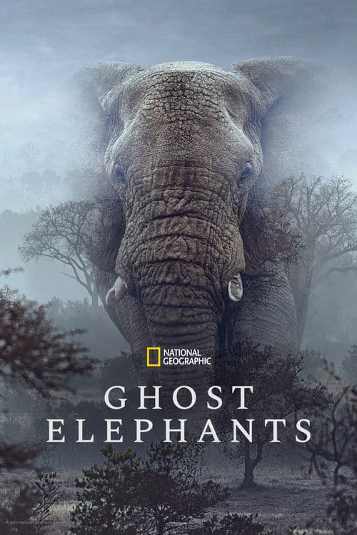 โปสเตอร์ Ghost Elephants (2026)