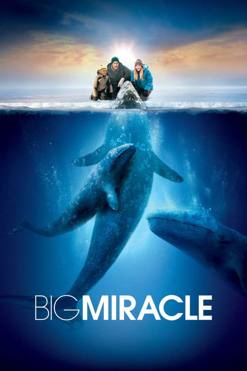 โปสเตอร์ Big Miracle (2012) ปาฏิหารย์วาฬสีเทา