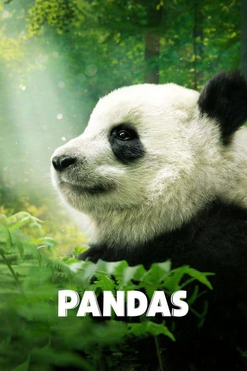 โปสเตอร์ Pandas (2018)