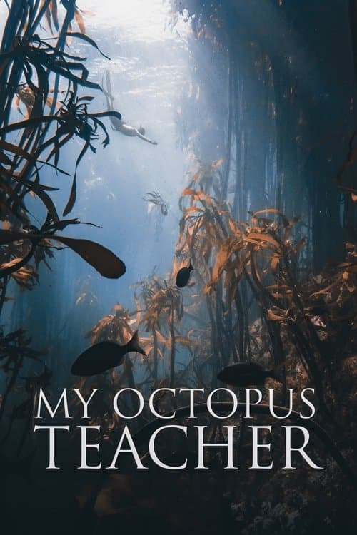 โปสเตอร์ My Octopus Teacher (2020) บทเรียนจากปลาหมึก
