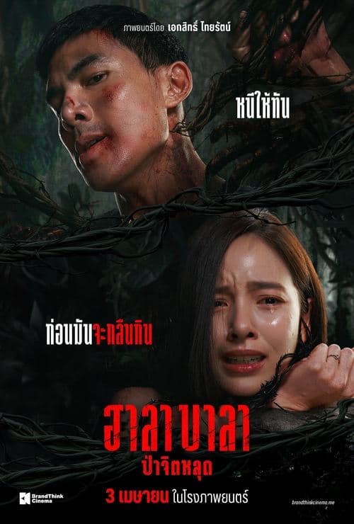 โปสเตอร์ ฮาลาบาลา ป่าจิตหลุด