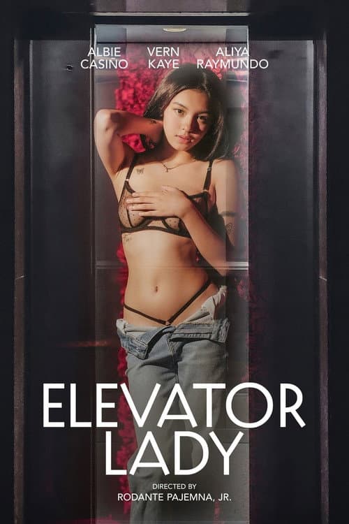 โปสเตอร์ Elevator Lady (2025)