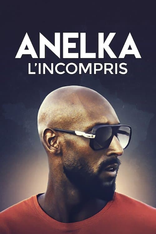 โปสเตอร์ Anelka : L'Incompris