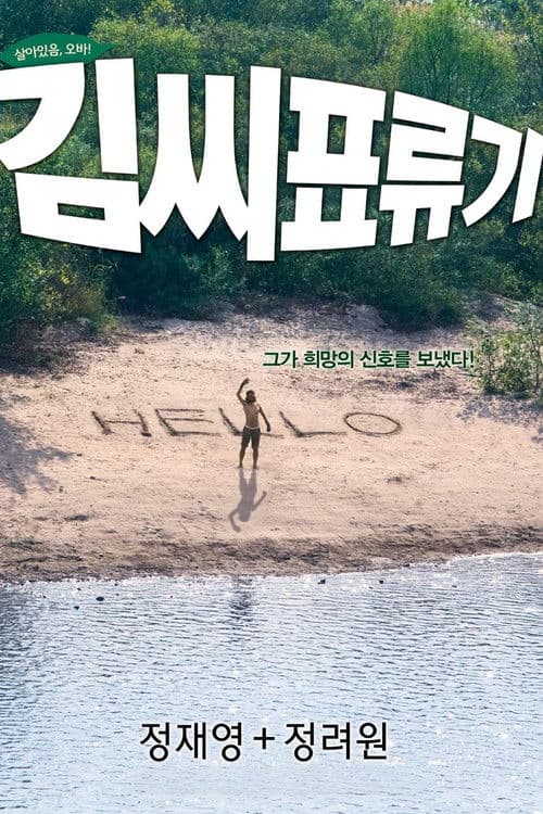 โปสเตอร์ Castaway On The Moon (2009)