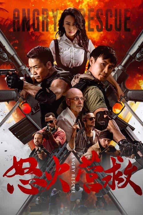 โปสเตอร์ 怒火营救