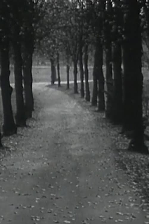โปสเตอร์ Kyrie (1965)