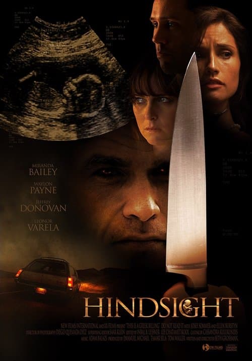 โปสเตอร์ Hindsight (2008) สวยสังหารหักลำมาเฟีย